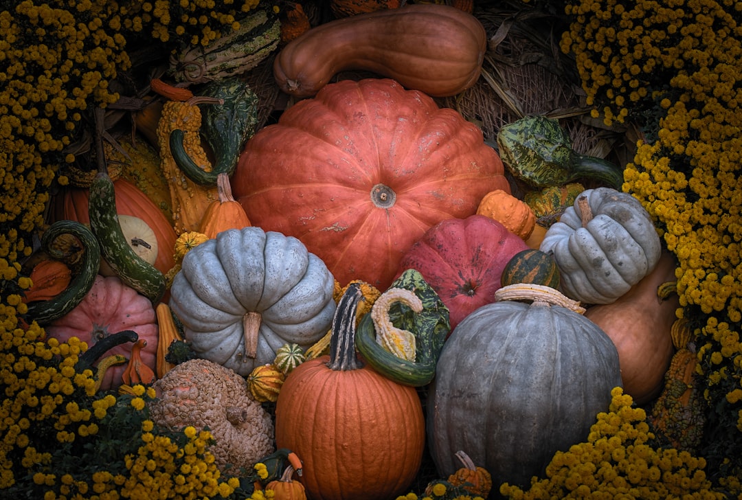 Seasonal squash harvest reflecting Ayurvedic ritucharya autumn eating